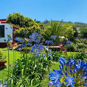 casa-del-mir.in-canary-islands.com/